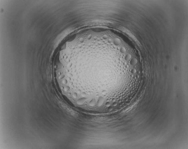 X0000071841075200607141719