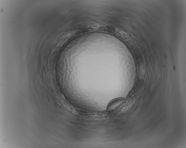 X0000071841105200607141718