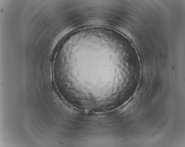 X0000071841123200607141718