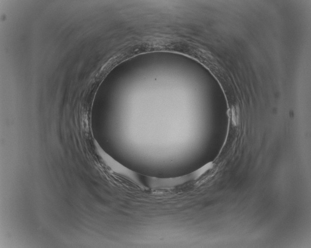 X0000071841155200607141718