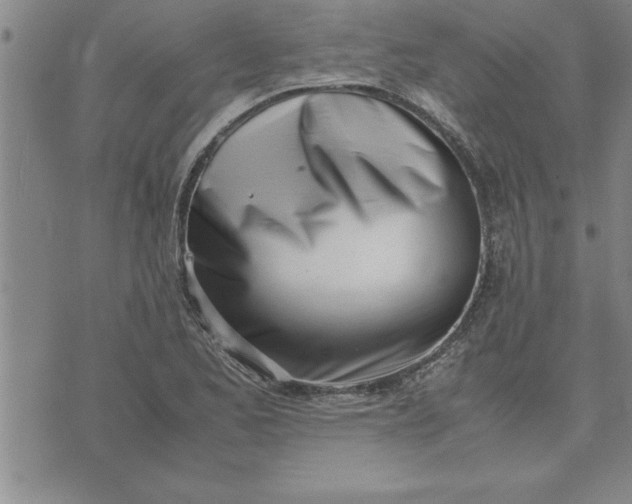 X0000071841173200607141718