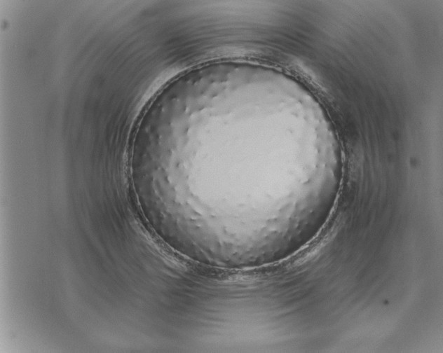 X0000071841178200607141718