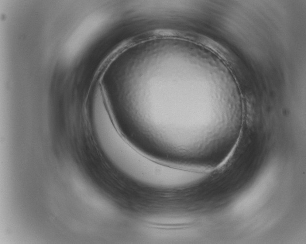 X0000071841198200607141717