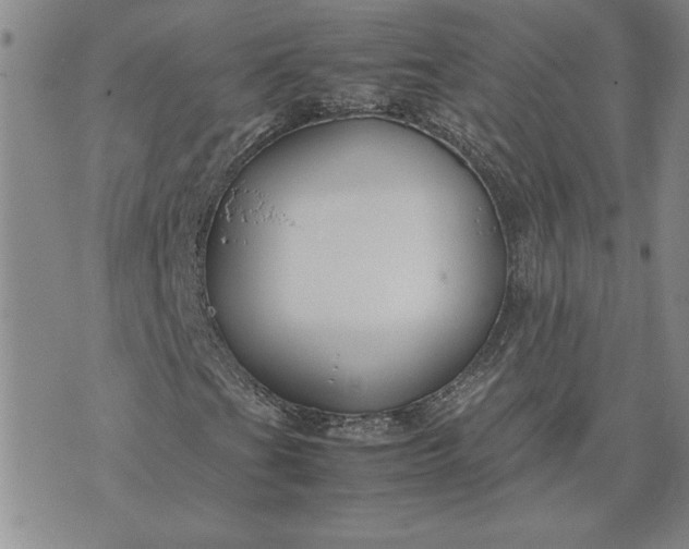 X0000071841201200607141716