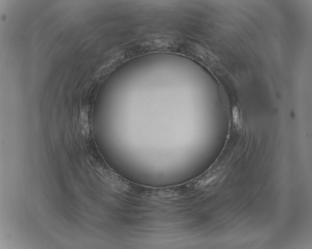 X0000071841203200607141716