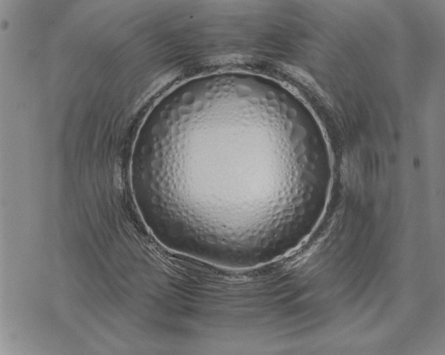 X0000071841209200607141717