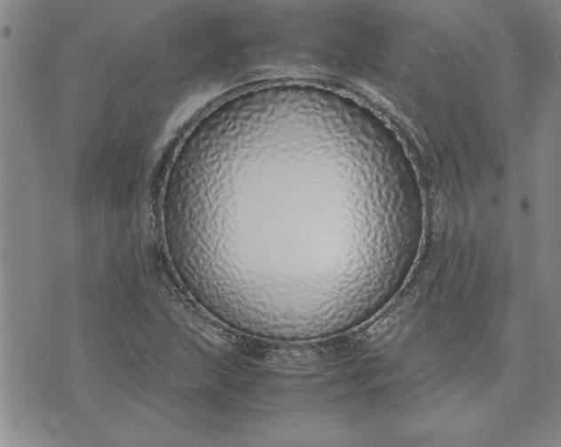X0000071841215200607141717