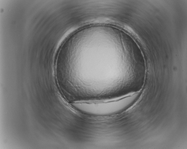 X0000071841232200607141717