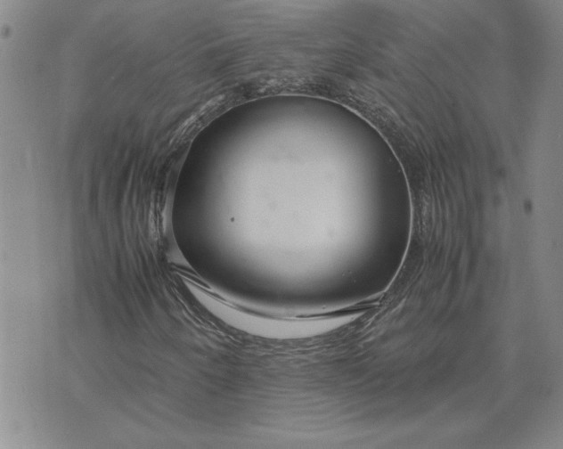 X0000071841250200607141716