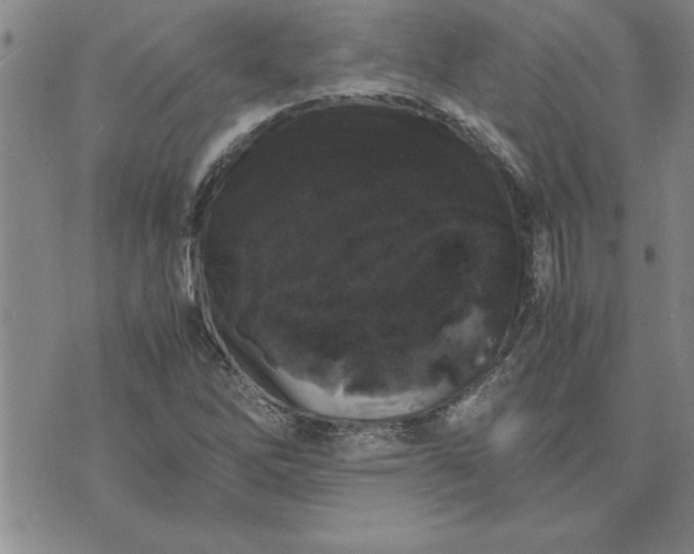 X0000071841262200607141716