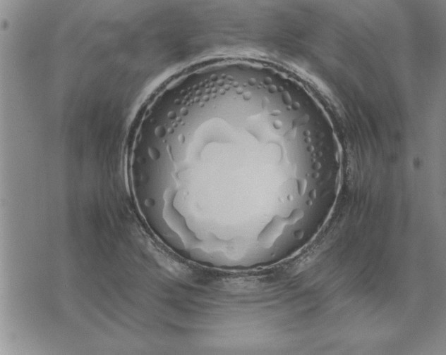 X0000071841272200607141716