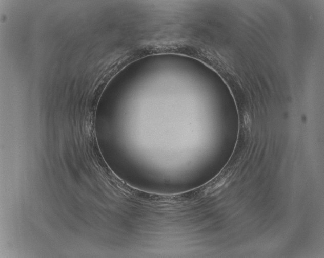 X0000071841300200607141715