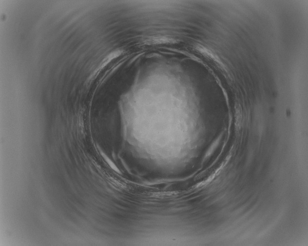 X0000071841305200607141715
