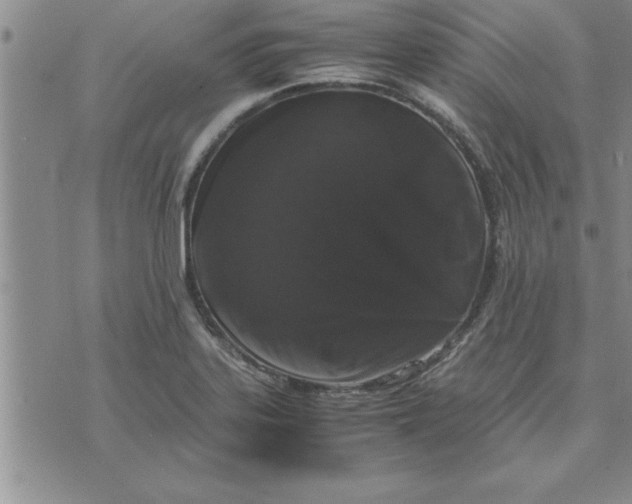 X0000071841323200607141715