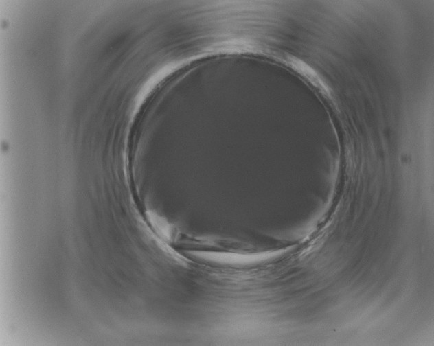 X0000071841334200607141715