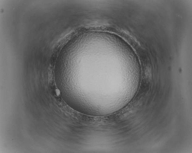 X0000071841350200607141715