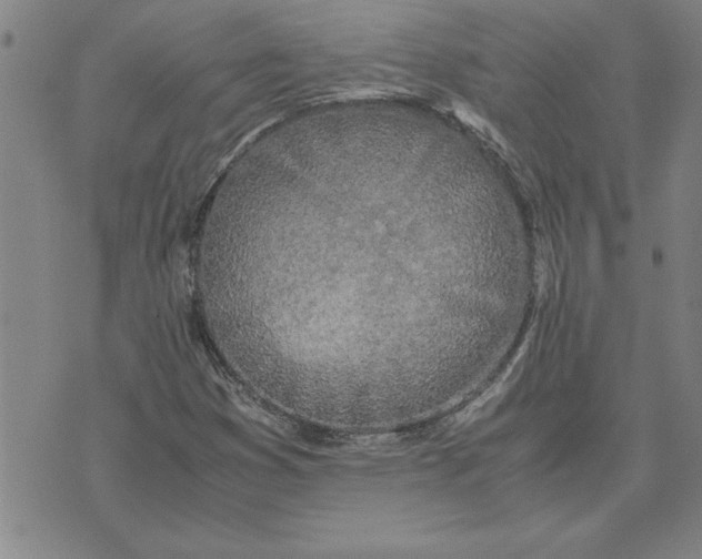 X0000071841353200607141715