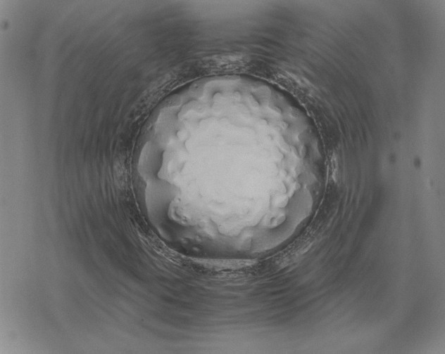 X0000071841395200607141713
