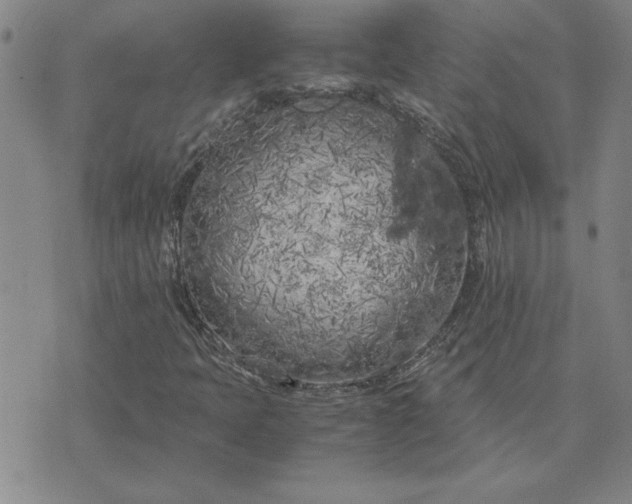 X0000071841397200607141713