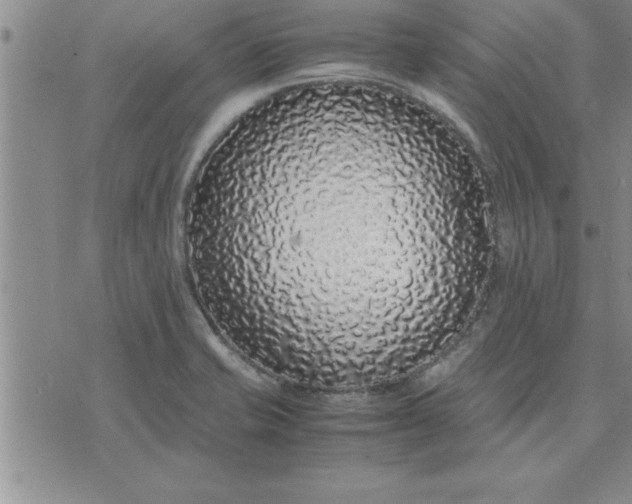 X0000071841421200607141714