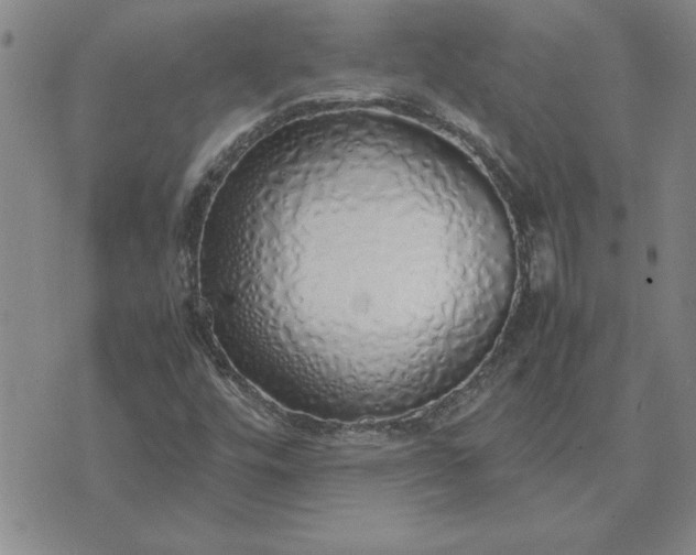 X0000071841448200607141713