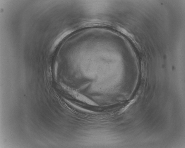 X0000071841453200607141713