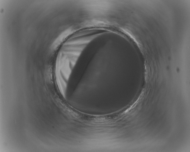 X0000071841455200607141713