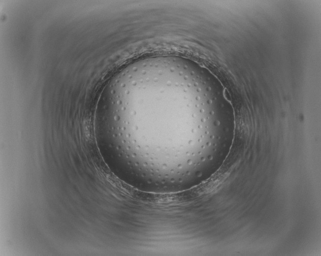 X0000071841490200607141712
