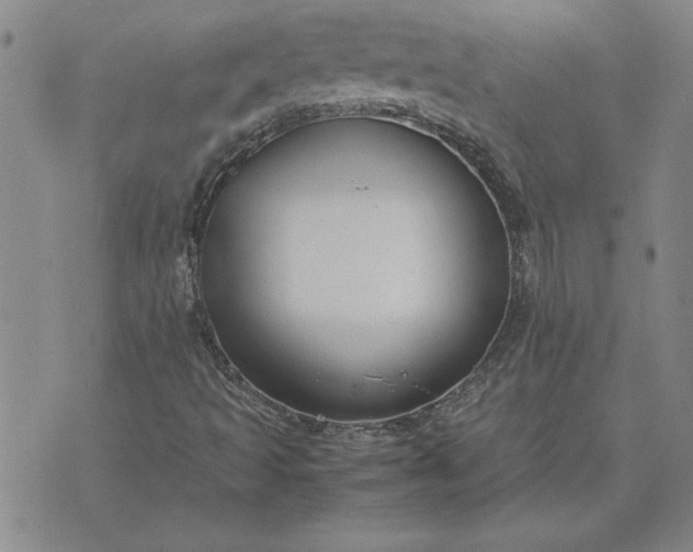 X0000071841493200607141712