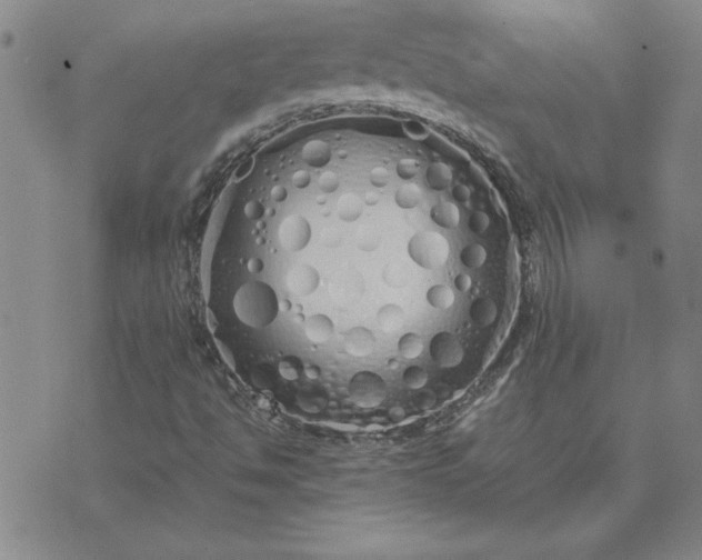 X0000071841494200607141712