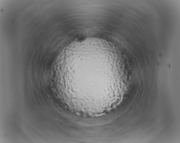X0000071840034200607211838