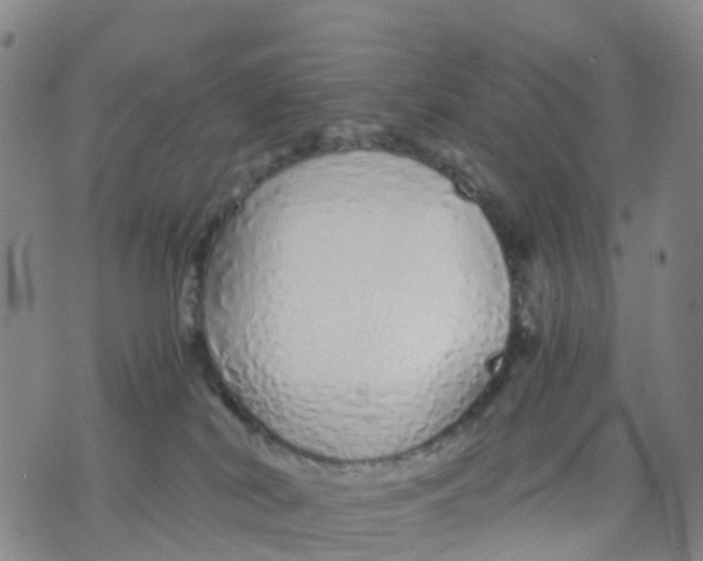 X0000071840038200607211838