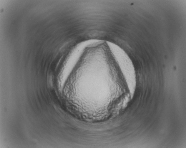 X0000071840042200607211838