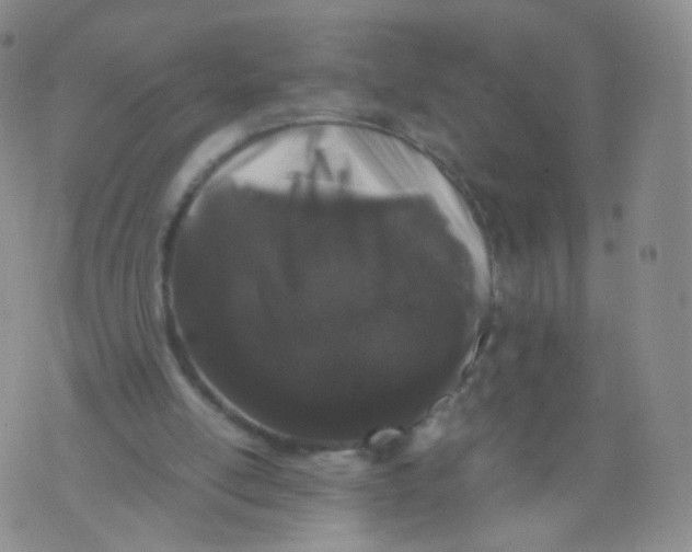 X0000071840054200607211837