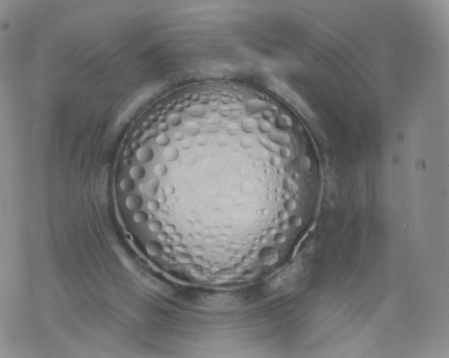X0000071840058200607211837
