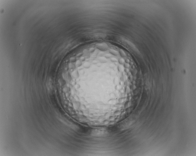 X0000071840077200607211838