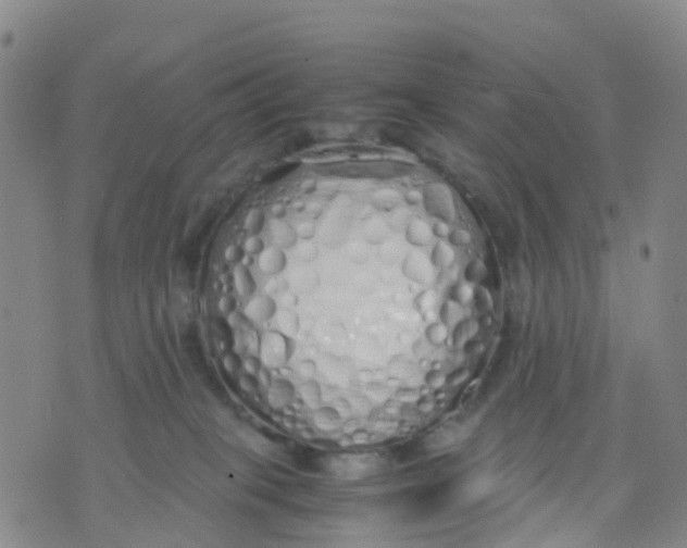 X0000071840085200607211838