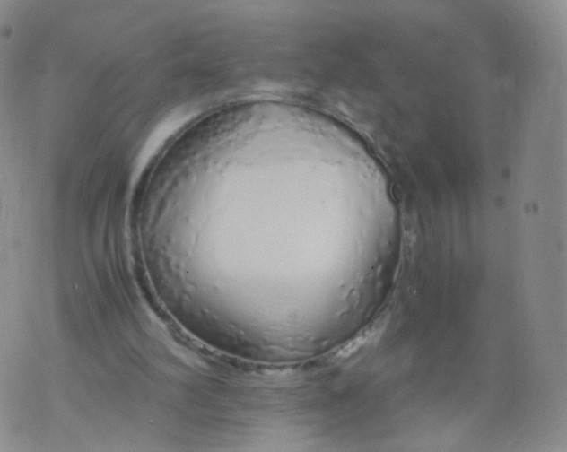 X0000071840102200607211837