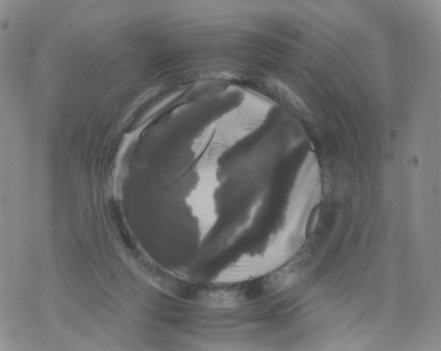 X0000071840163200607211836