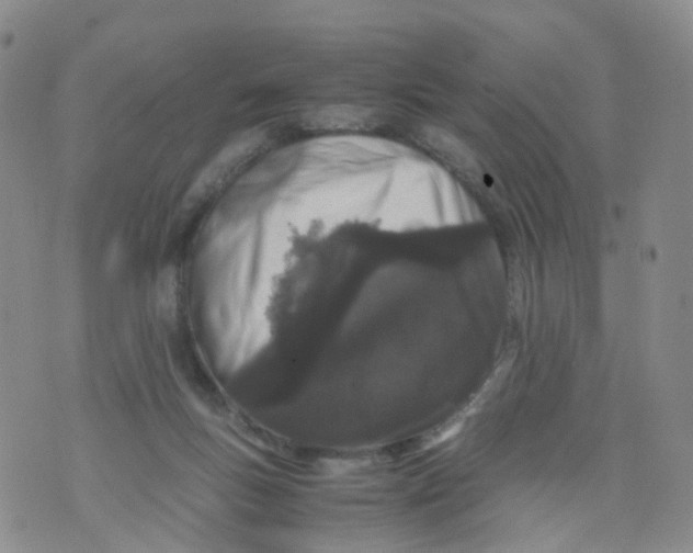 X0000071840167200607211836
