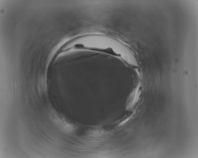 X0000071840200200607211836
