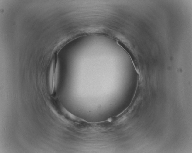 X0000071840201200607211836