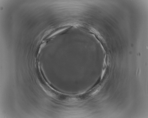 X0000071840205200607211836