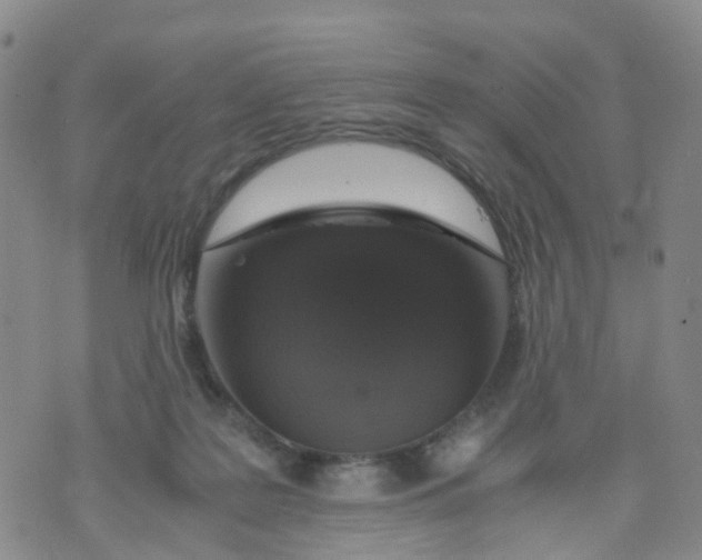 X0000071840219200607211835