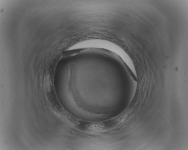 X0000071840223200607211835