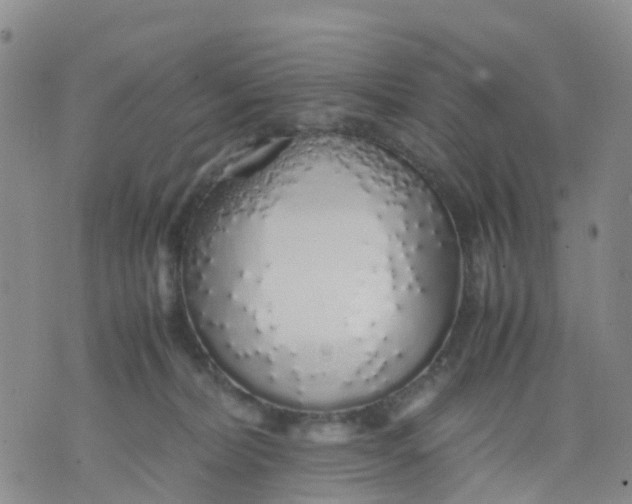 X0000071840228200607211835