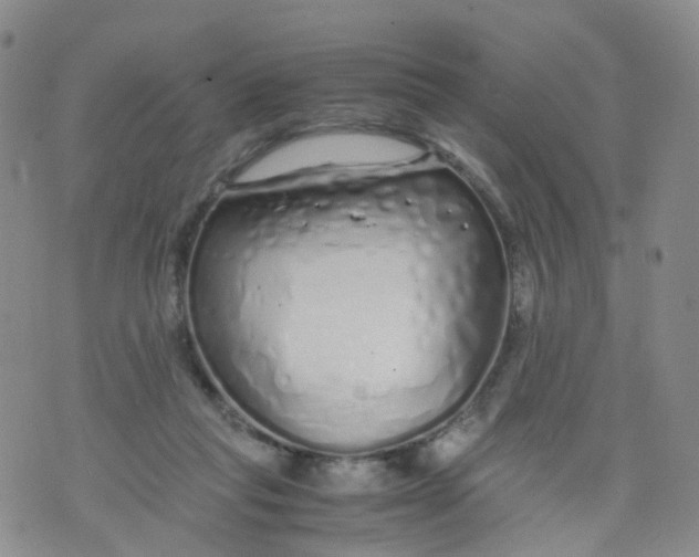X0000071840261200607211835