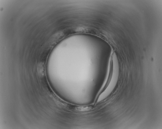X0000071840273200607211835