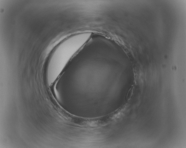 X0000071840295200607211834