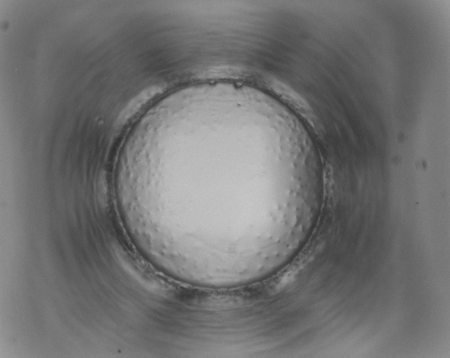 X0000071840298200607211834